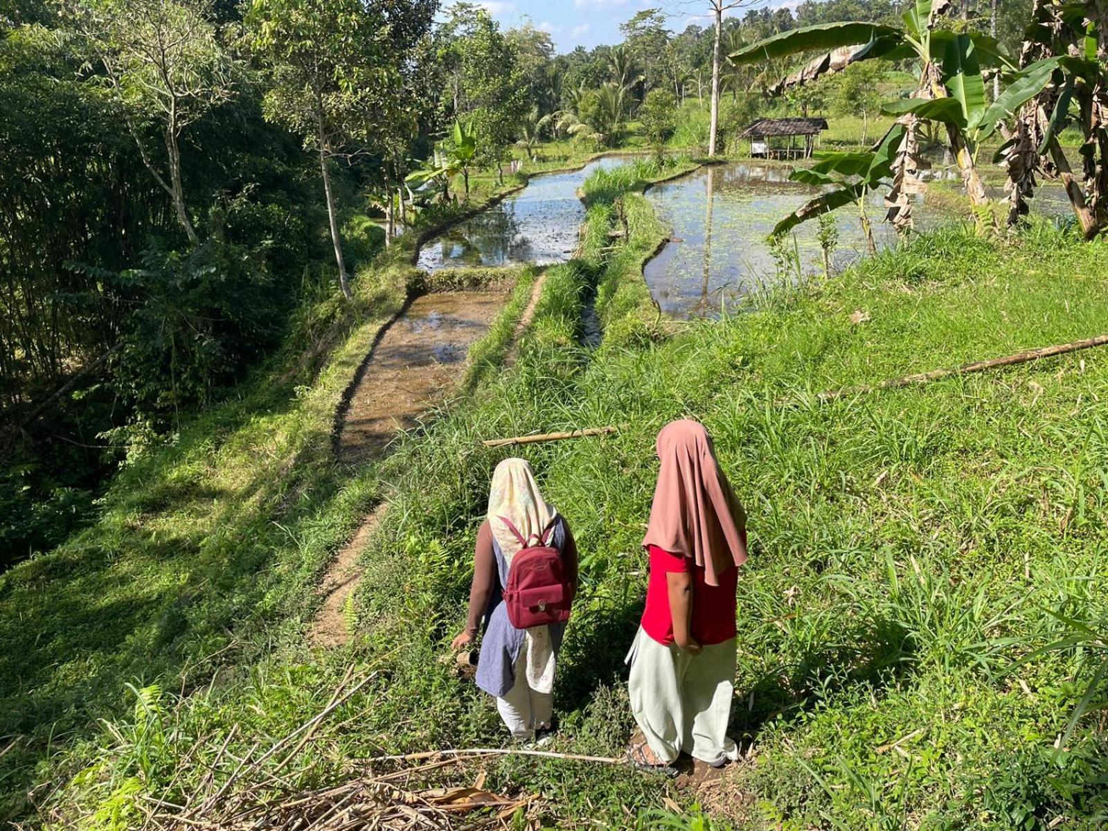 Tetebatu Terrace Homestay Eksteriør bilde