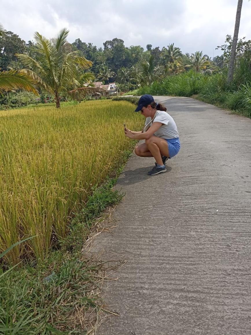 Tetebatu Terrace Homestay Eksteriør bilde